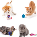 HUOHUOHUO-Cat-Toy-Set-107