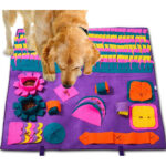 PATIO-PLUS-Sniffign-Mat-for-Dogs-102