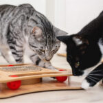 Pfotenolymp®-Premium-Wooden-Cat-Toy-106